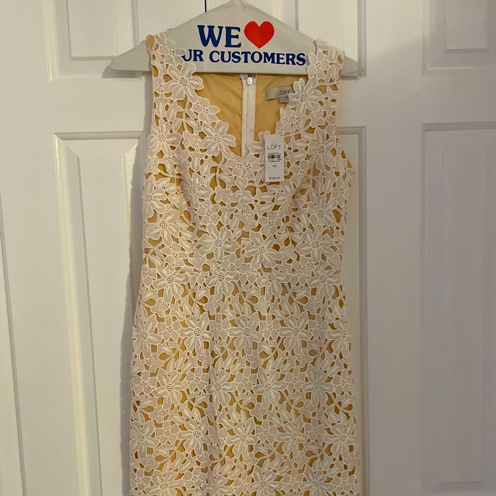 Loft lace dress
